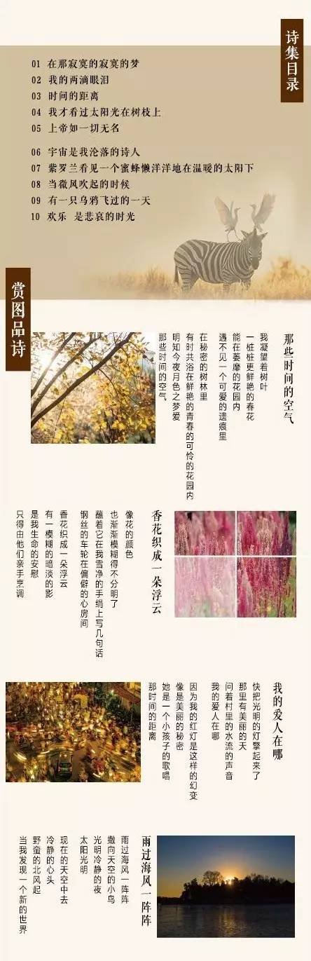 荐书|可以睡的日本散文·不是人的诗歌作者·尽情撕的诺奖诗集