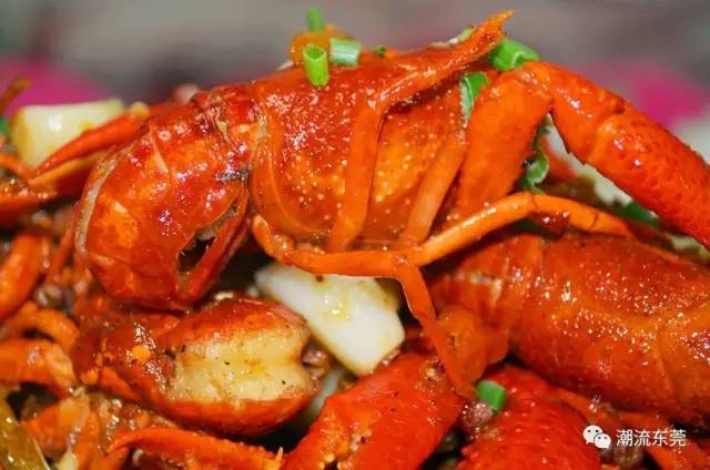 东莞城区小龙虾推荐,东莞小龙虾店推荐