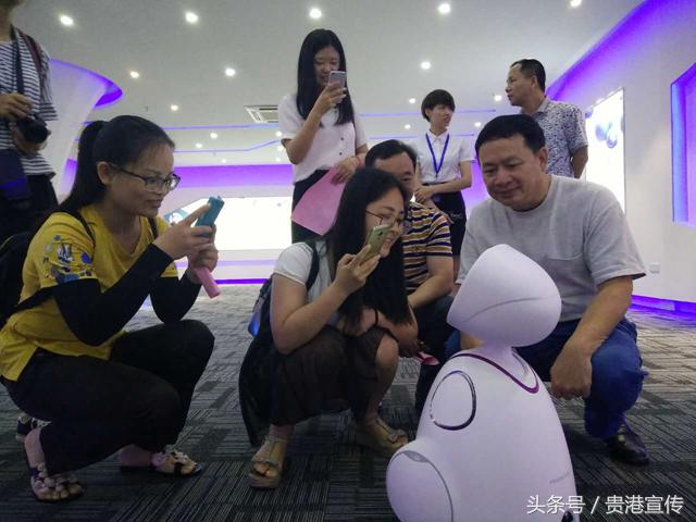 贵港电子信息产业招商引资2019,贵港电子工业发展