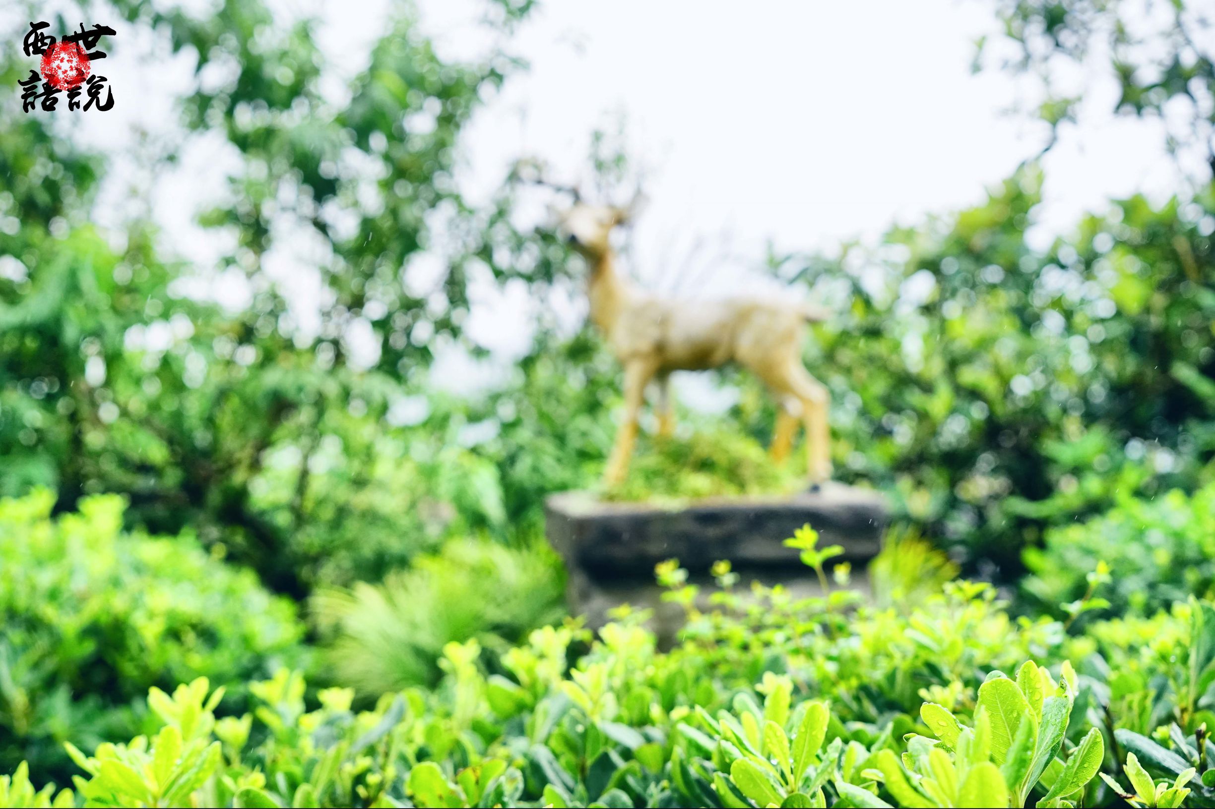 矾山矾矿遗址福德湾旅游攻略,福德湾矾矿遗址