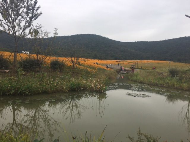 拈花湾的美景句子,拈花湾的景色