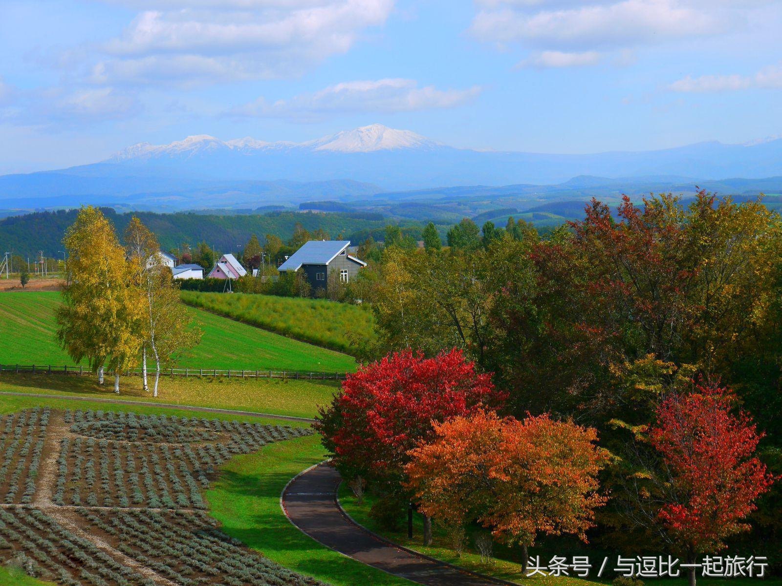 美瑛，地处于北海道的中心位置，素有北海道肚脐之称
