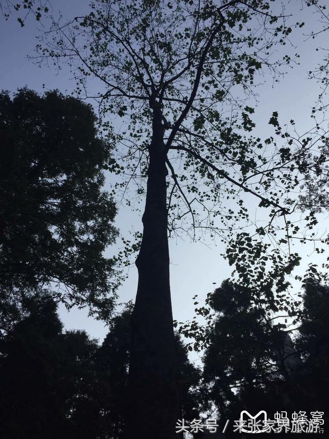 长沙到张家界凤凰五日游,深圳到张家界5天游攻略