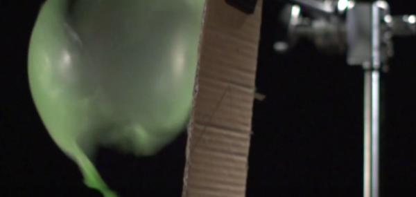 灏忓鐜╃殑鏈ㄨ川寮撳缉鏈夊鍗遍櫓,灏忓鐜╃殑寮撳缉鏈夊鍗遍櫓