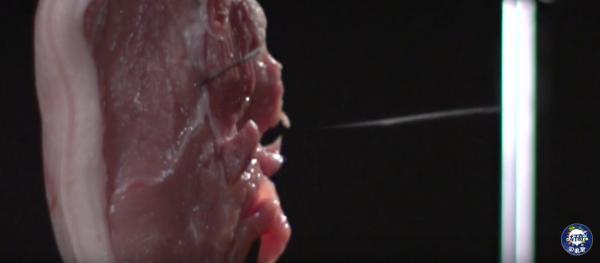 灏忓鐜╃殑鏈ㄨ川寮撳缉鏈夊鍗遍櫓,灏忓鐜╃殑寮撳缉鏈夊鍗遍櫓