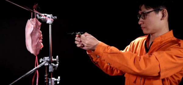 灏忓鐜╃殑鏈ㄨ川寮撳缉鏈夊鍗遍櫓,灏忓鐜╃殑寮撳缉鏈夊鍗遍櫓