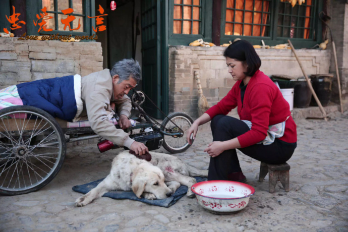 忠爱无言终其一生,忠爱无言相濡以沫
