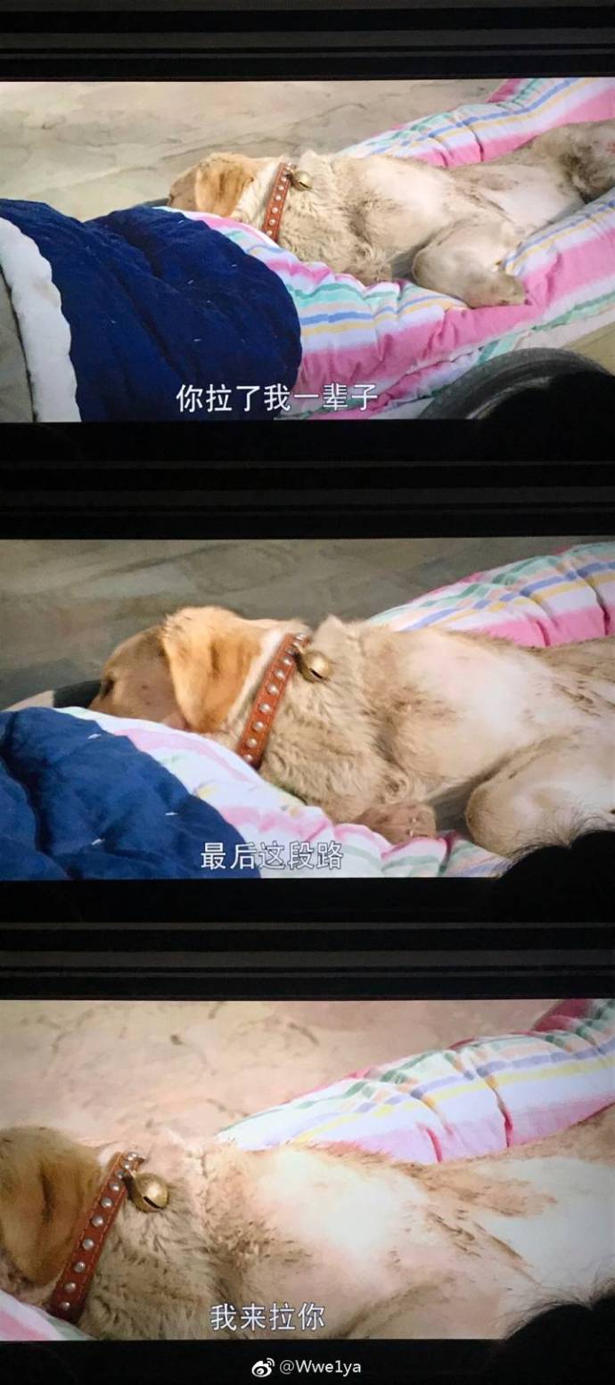 忠爱无言终其一生,忠爱无言相濡以沫