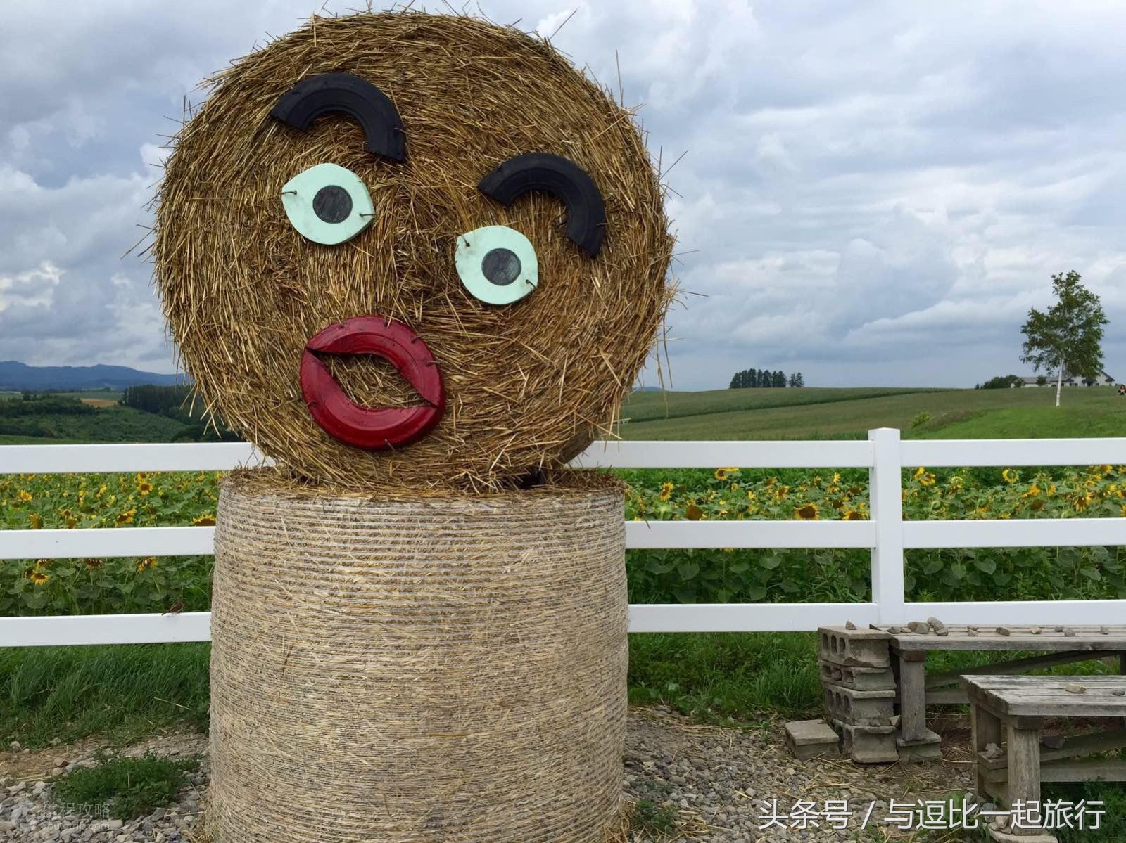 美瑛，地处于北海道的中心位置，素有北海道肚脐之称