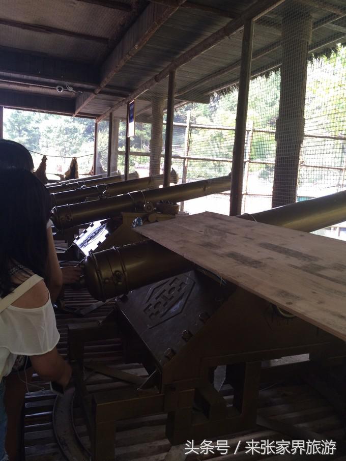 长沙到张家界凤凰五日游,深圳到张家界5天游攻略