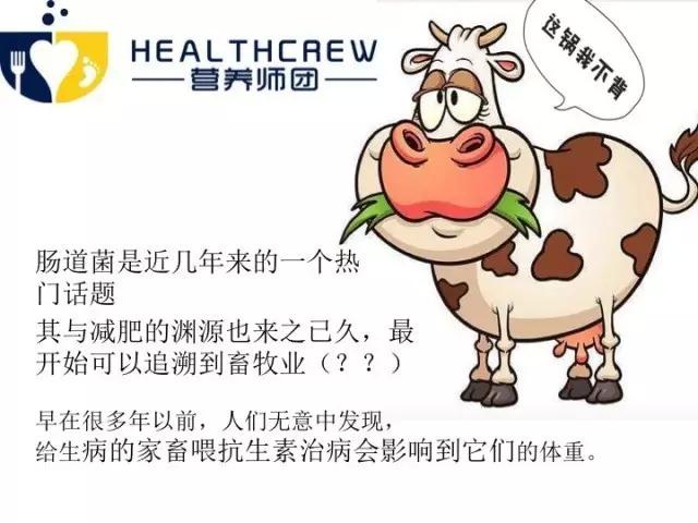 吃屎减肥？为了减肥也是蛮拼的