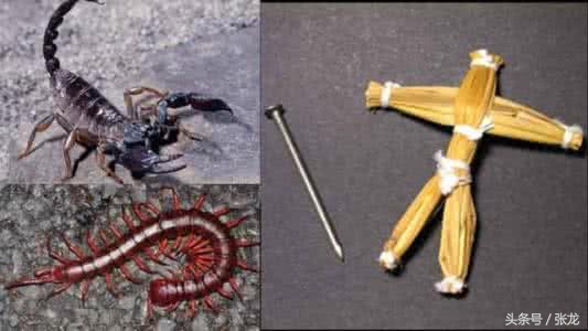 小乘佛法传说,小乘佛法的第一戒律