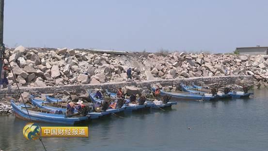 十亩水库养鱼一年收益,一亩鱼塘养鱼的收益