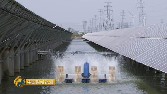 十亩水库养鱼一年收益,一亩鱼塘养鱼的收益