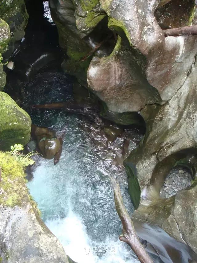 痛哭！即使今天抢不到新西兰打工旅行签证，也不能放弃新西兰啊！