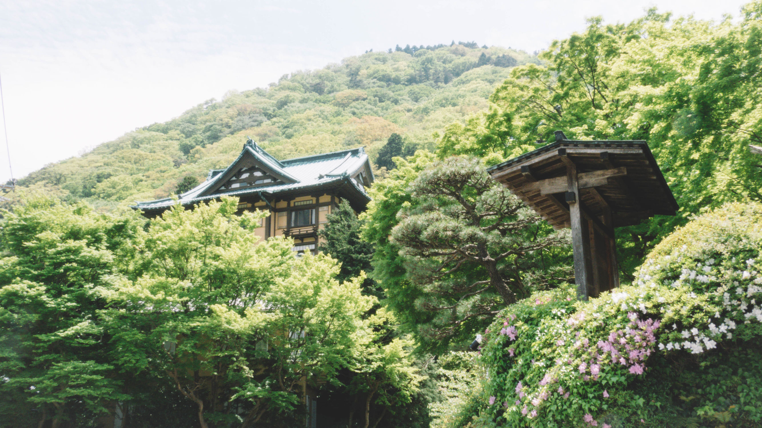 东京镰仓横滨旅游攻略,东京镰仓箱根伊豆富士山路线