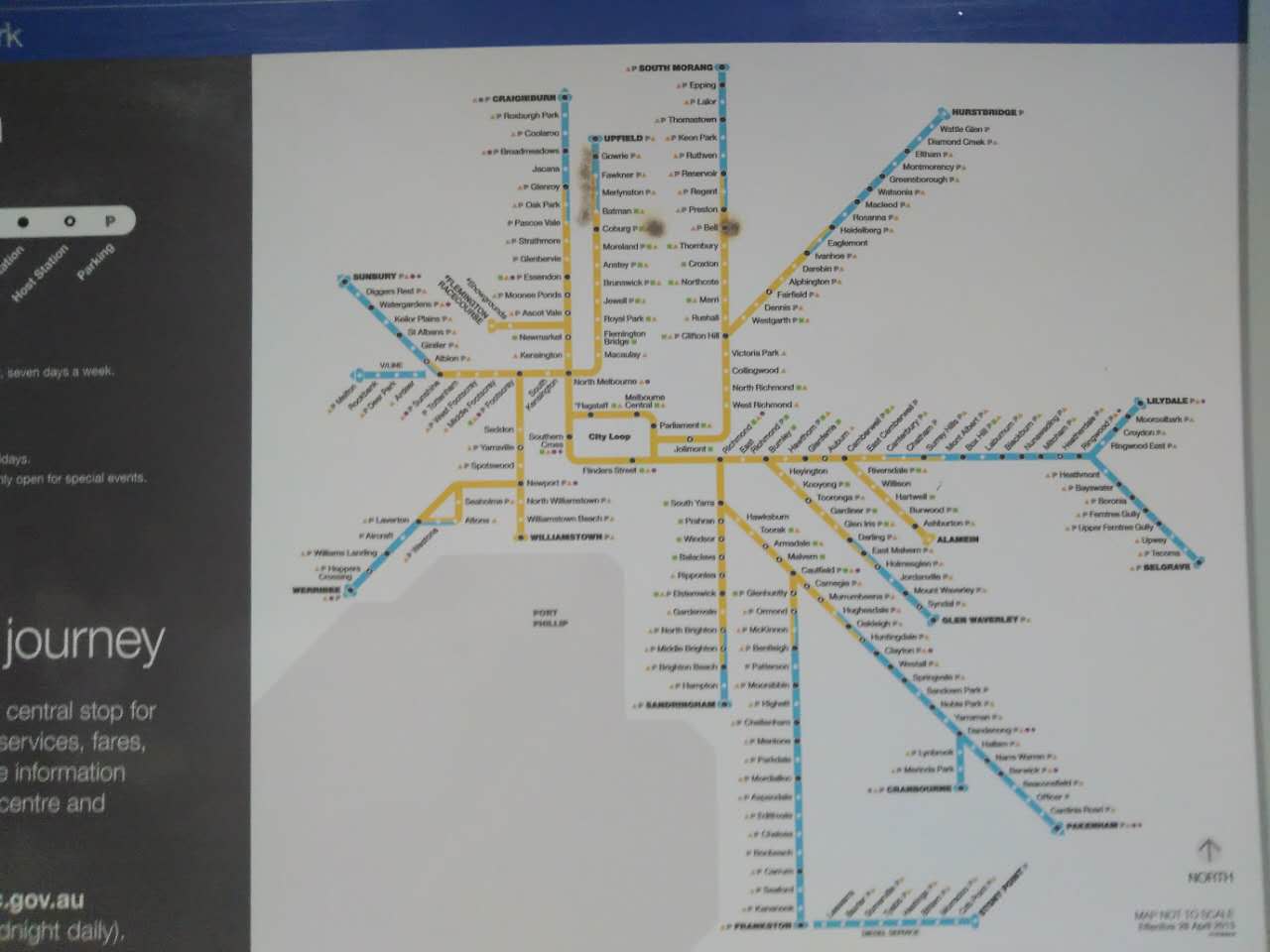 流浪在悉尼,流浪在澳洲的真实生活