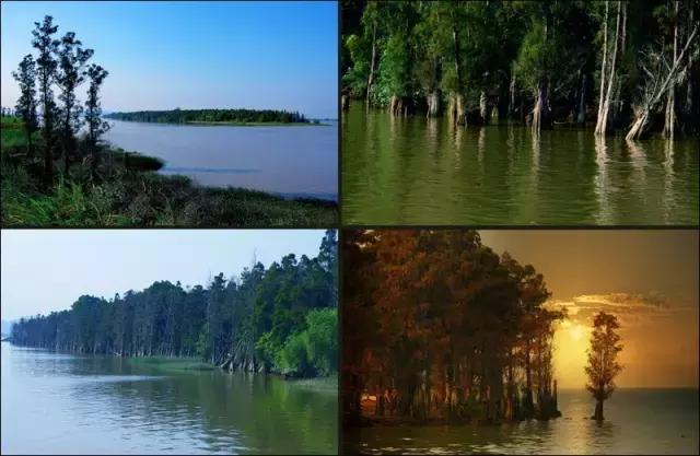 珠海攻略必去景点推荐,珠海一日游最值得去的地方