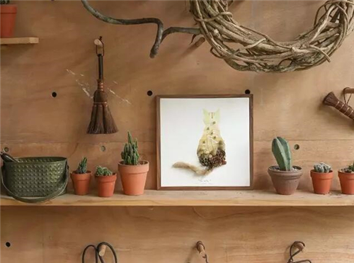 四川90后姑娘花10000元自建房,90后姑娘花八十万回农村建别墅