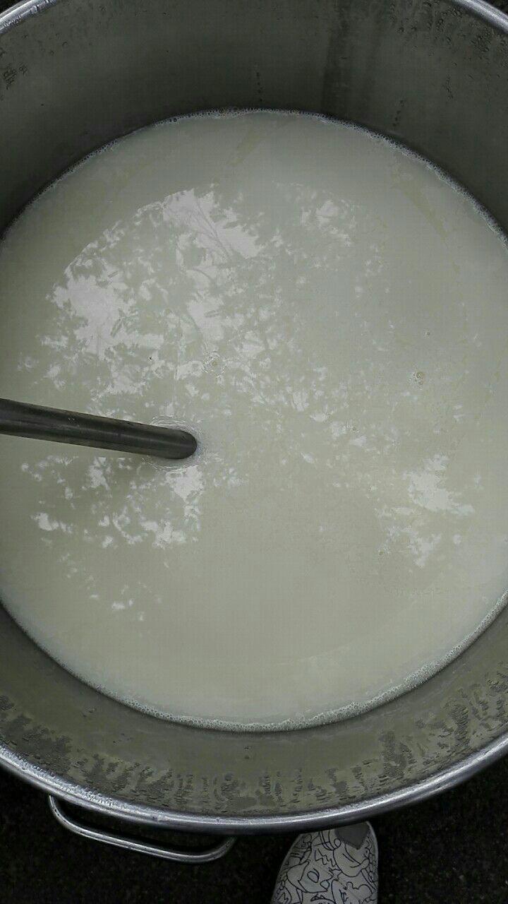 幼儿园毕业班夏令营活动,幼儿园大班毕业夏令营走进小学