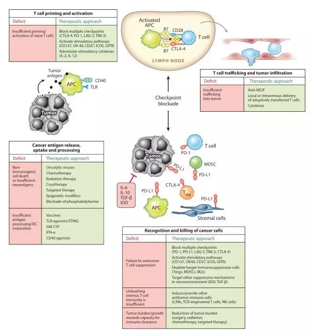 肿瘤免疫治疗的那些事,肿瘤免疫疗法系列