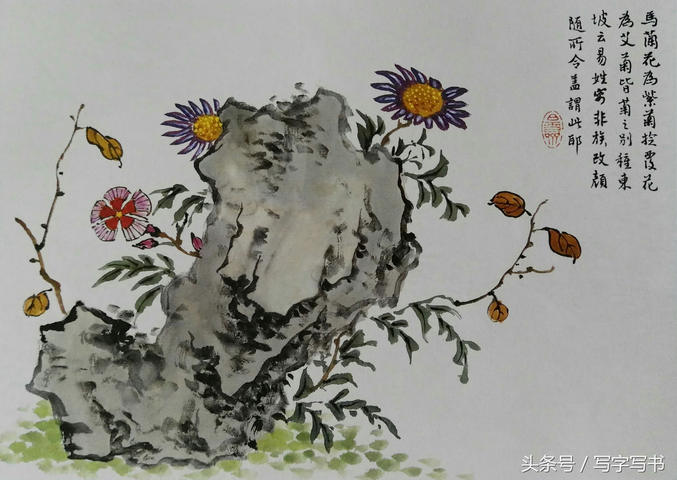 工笔画梅兰竹菊画法大全第一部分,墨牡丹花画法技巧