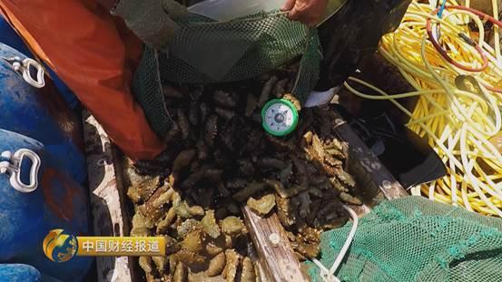 十亩水库养鱼一年收益,一亩鱼塘养鱼的收益