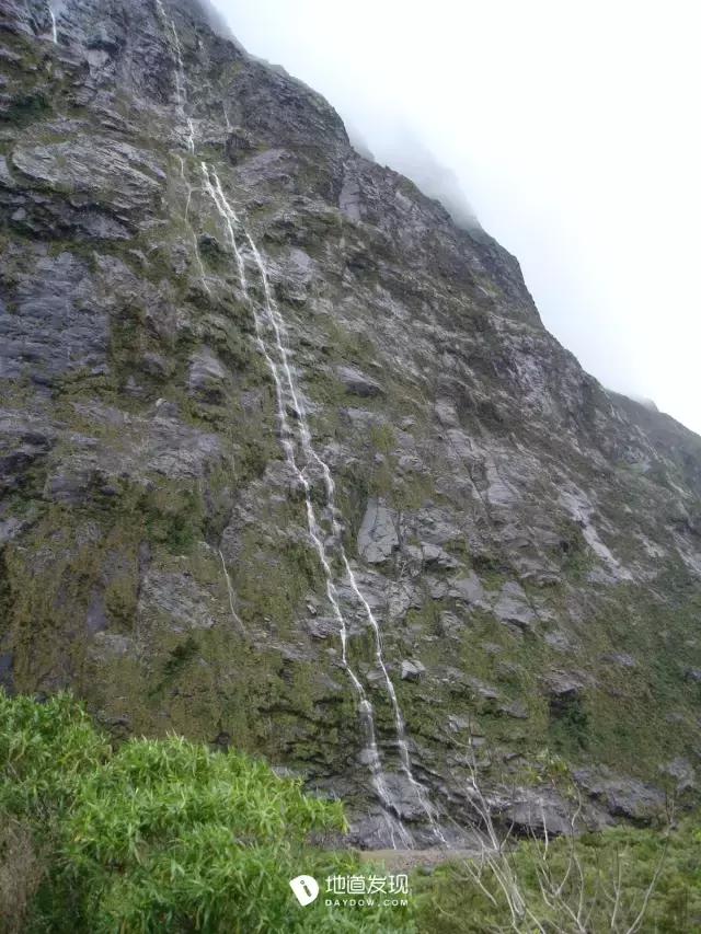 痛哭！即使今天抢不到新西兰打工旅行签证，也不能放弃新西兰啊！