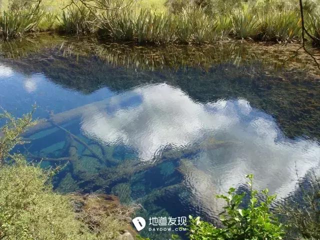 痛哭！即使今天抢不到新西兰打工旅行签证，也不能放弃新西兰啊！