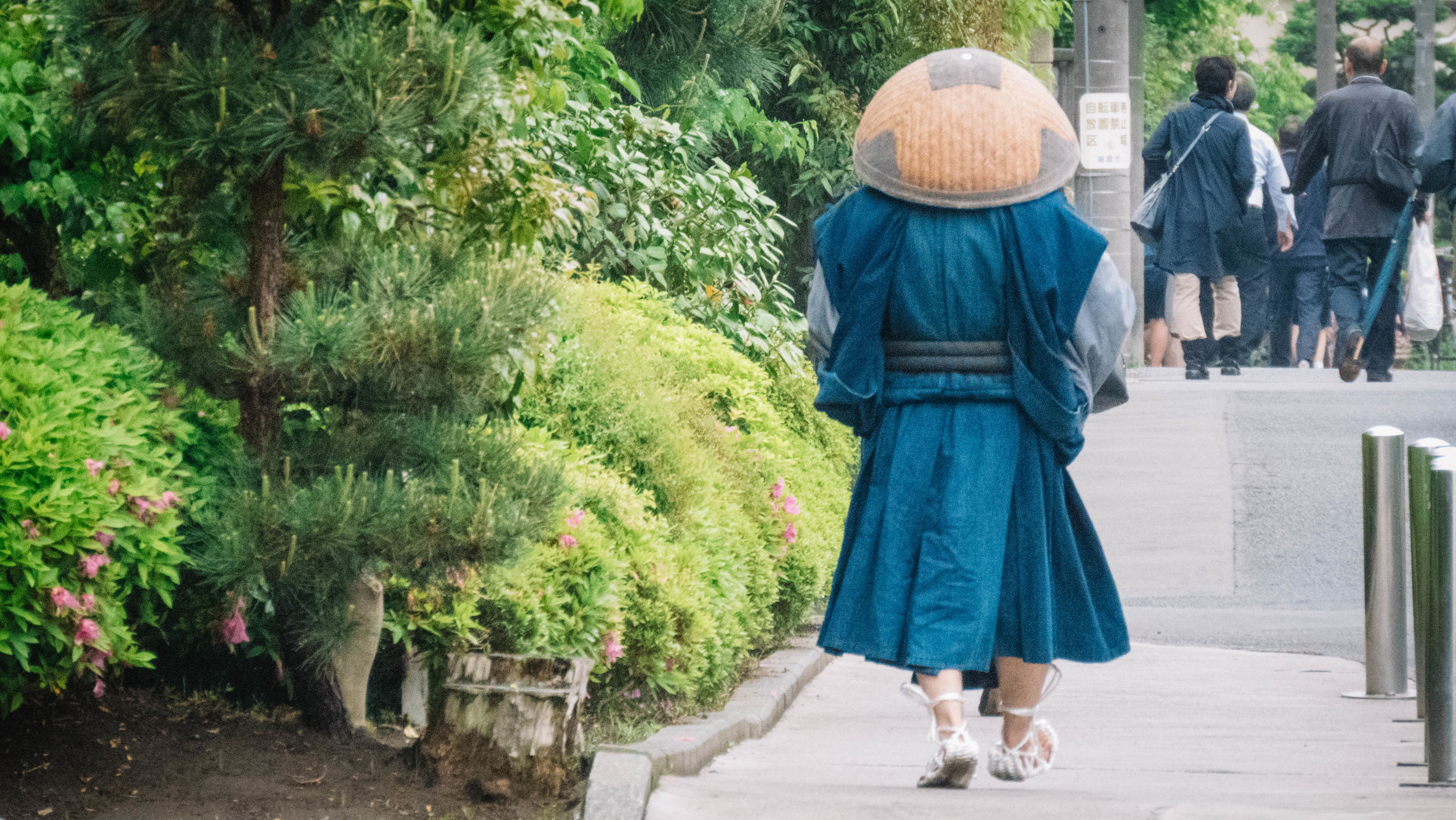 东京镰仓横滨旅游攻略,东京镰仓箱根伊豆富士山路线