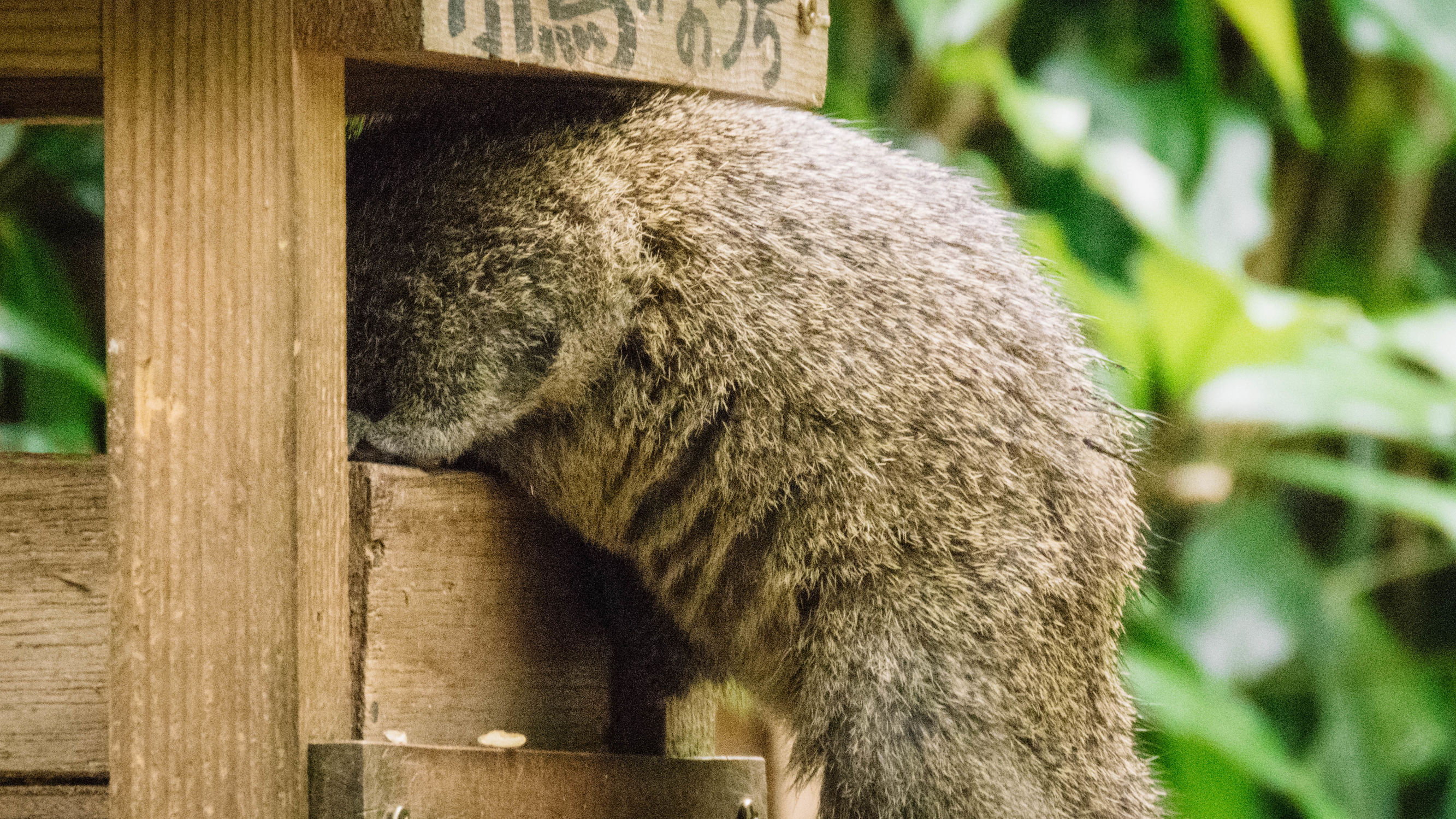 东京镰仓横滨旅游攻略,东京镰仓箱根伊豆富士山路线