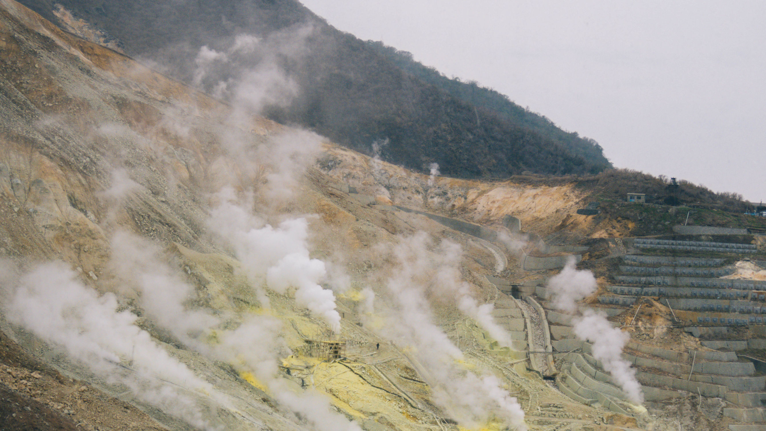 东京镰仓横滨旅游攻略,东京镰仓箱根伊豆富士山路线