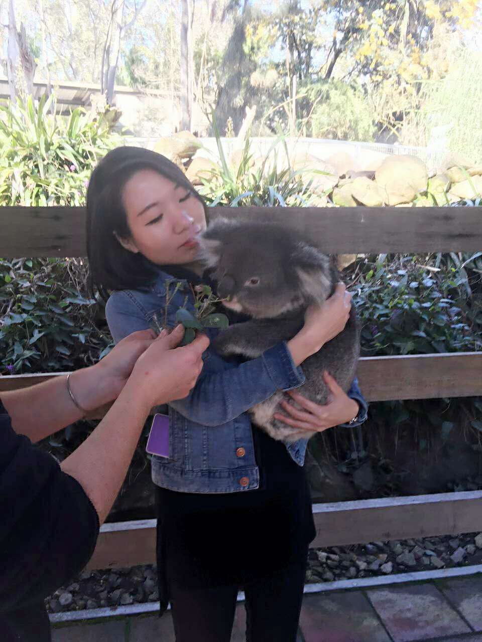 流浪在悉尼,流浪在澳洲的真实生活