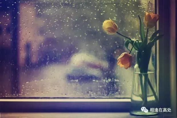 致雨季｜你有你的下法，我有我的活法