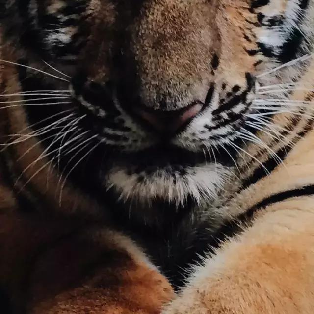 cosme十大排名,2017cosme必买清单