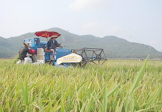 最赚钱农业项目有哪些,掌握这6种能力成就你更好的未来