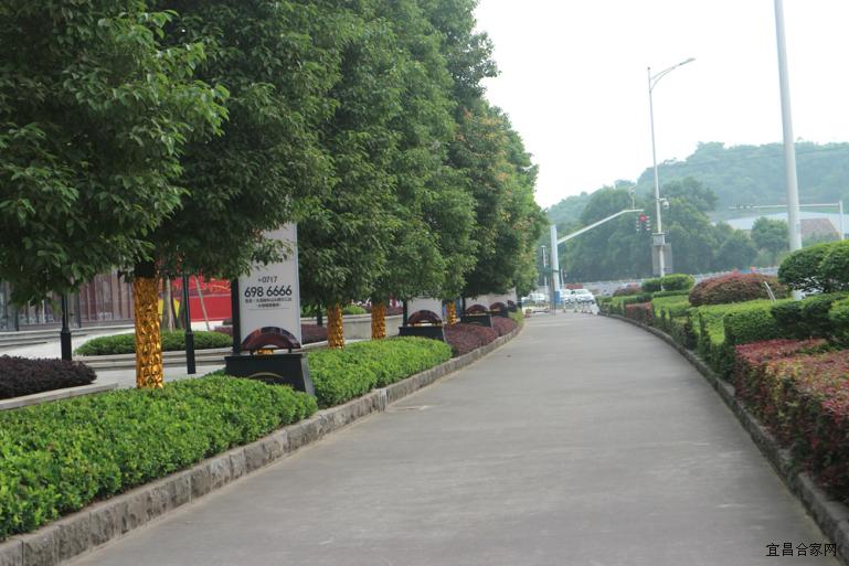 宜昌保利时代的房子值得买吗,保利时代看房