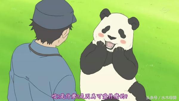 纸尿裤制作原理是什么,婴儿纸尿裤生产流程