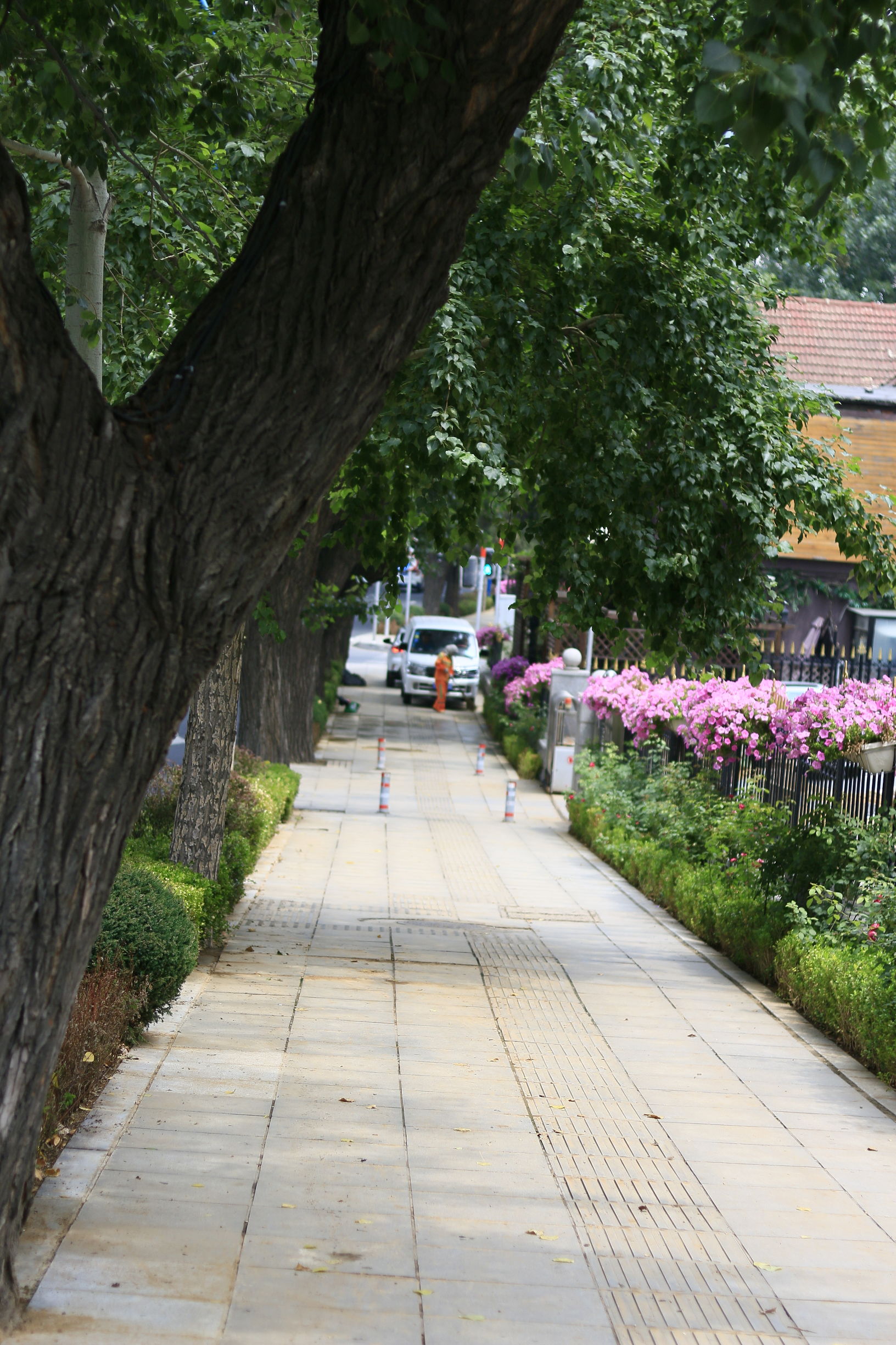 佳能70d配24mm头图片,佳能70d配18-55镜头怎么样