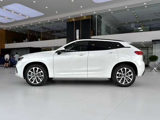 自主品牌suvvv6,自主品牌suv质量排行榜