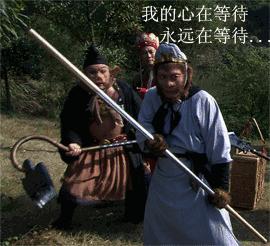 大黄蜂科迈罗发展史,大黄蜂科迈罗通过性