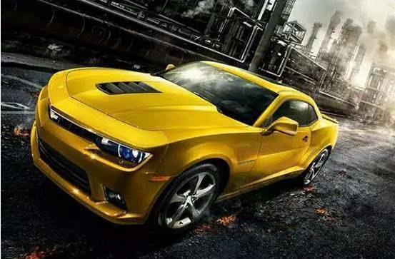 大黄蜂科迈罗发展史,大黄蜂科迈罗通过性