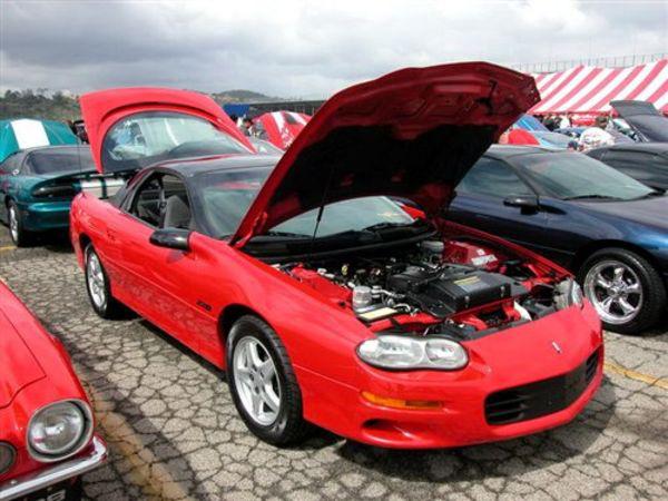 大黄蜂科迈罗发展史,大黄蜂科迈罗通过性