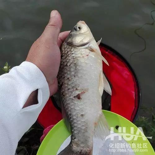 竿长跟漂的关系,竿长与漂重