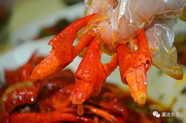 东莞城区小龙虾推荐,东莞小龙虾店推荐