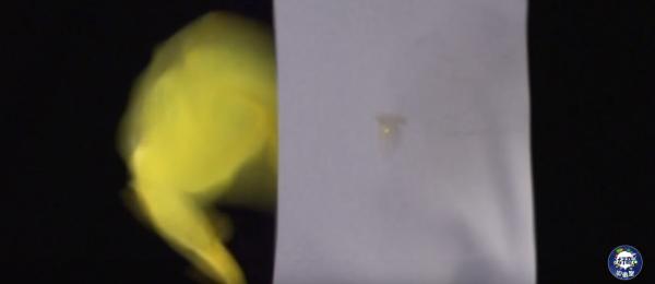 灏忓鐜╃殑鏈ㄨ川寮撳缉鏈夊鍗遍櫓,灏忓鐜╃殑寮撳缉鏈夊鍗遍櫓