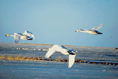 没有背景的人会创业成功吗,现在创业失败了还有机会翻身吗