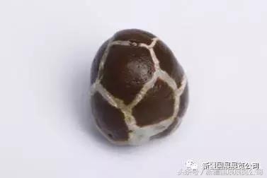 石博会奇石图片大全,2020年石博会新闻