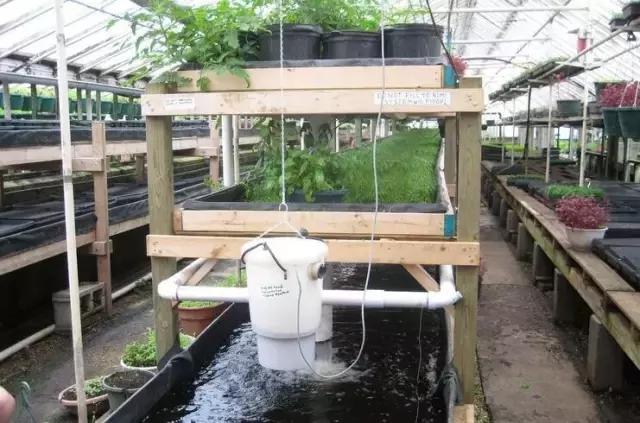 农业最赚钱的十种模式,农业创业致富的5个方法