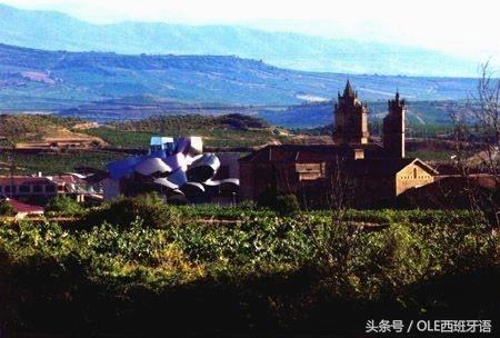 法国波尔多左岸酒庄介绍,法国波尔多右岸酒庄premiums